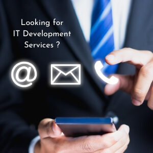 Looking for IT Development Services